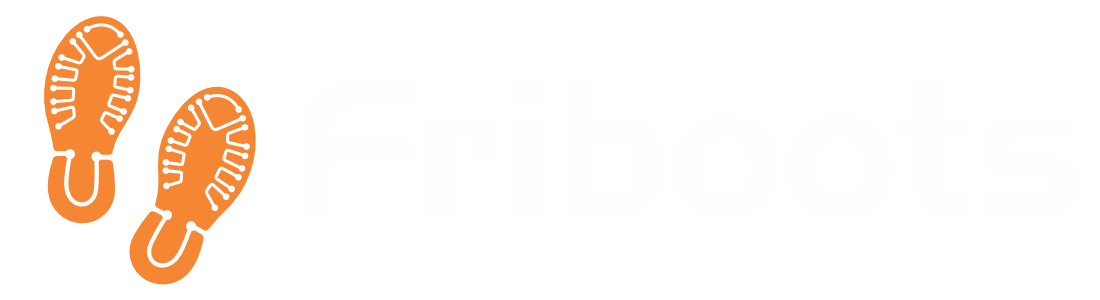 Friboots